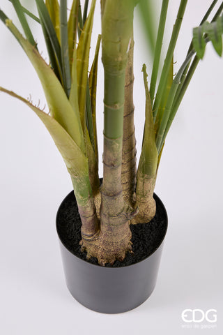 EDG Enzo De Gasperi Pianta Artificiale Palma Areca Vogue con Vaso H250 cm