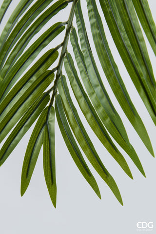 EDG Enzo De Gasperi Künstliche Areca-Palme, Vogue-Pflanze mit Vase, H 183 cm