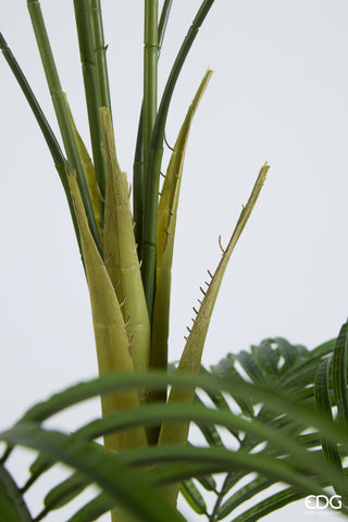 EDG Enzo De Gasperi Künstliche Areca-Palme, Vogue-Pflanze mit Vase, H 183 cm