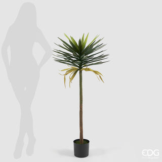 EDG Enzo De Gasperi Pianta Artificiale Yucca Anti-UV con Vaso H131 cm