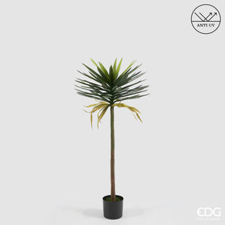 EDG Enzo De Gasperi Pianta Artificiale Yucca Anti-UV con Vaso H131 cm