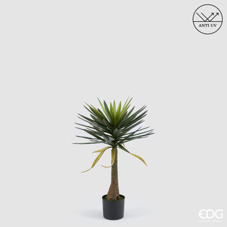 EDG Enzo De Gasperi Pianta Artificiale Yucca Anti-UV con Vaso H94 cm