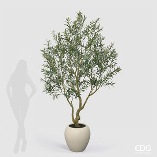 EDG Enzo De Gasperi Pianta Artificiale Olivo Vouge con Vaso H240 cm