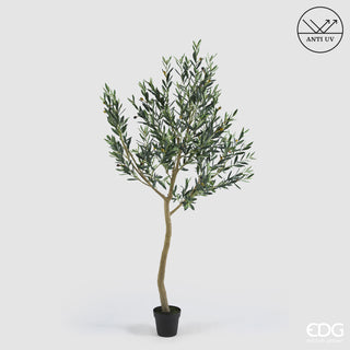 EDG Enzo De Gasperi Pianta Artificiale Olivo Anti-UV con Vaso H200 cm