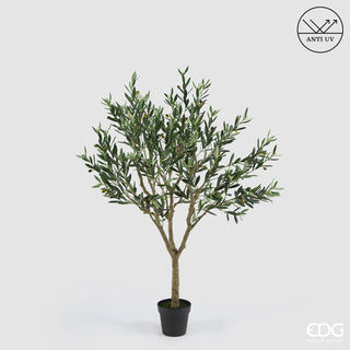 EDG Enzo De Gasperi Pianta Artificiale Olivo Anti-UV con Vaso H157 cm