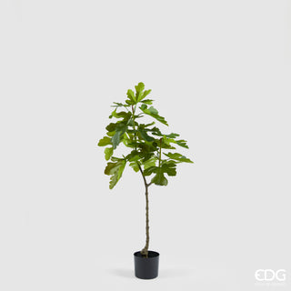 EDG Enzo De Gasperi Pianta Artificiale Ficus con Vaso H120 cm