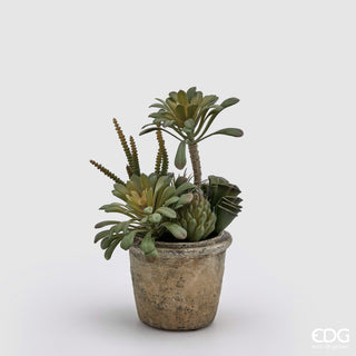 EDG Enzo De Gasperi Artificial Succulent Mix Plant with Vase H25 cm