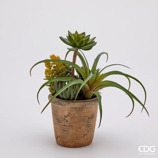 EDG Enzo De Gasperi Artificial Succulent Mix Plant with Vase H32 cm
