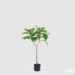EDG Enzo De Gasperi Chic Elaeocarpus Artificial Plant with Vase H110 cm