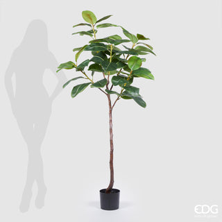 EDG Enzo De Gasperi Artificial Plant Ficus Elastica Chic H170 cm