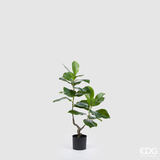 EDG Enzo De Gasperi Planta Artificial Ficus Chic x2 Al 90 cm