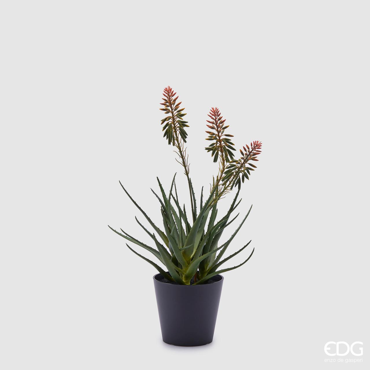 EDG Enzo De Gasperi pianta Aloe con vaso e fiori H50 cm – Le Gioie