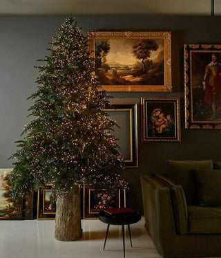 EDG Enzo de Gasperi Christmas Tree Pine Spark 365 cm with 13000 mini LEDs