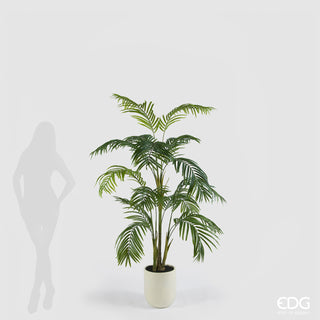 EDG Enzo De Gasperi Künstliche Areca-Palme, Vogue-Pflanze mit Vase, H 183 cm