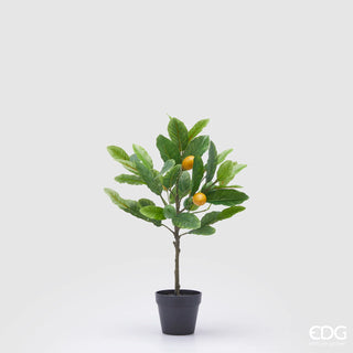 EDG Enzo De Gasperi Planta de limón artificial con jarrón Al. 48 cm