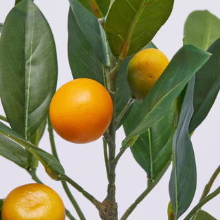 EDG Enzo De Gasperi pianta di Mandarino Artificiale con Vaso H56 cm