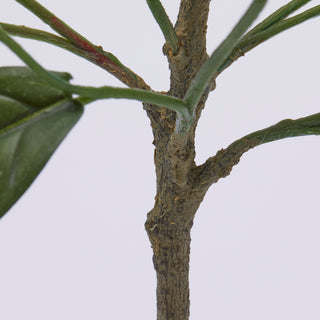EDG Enzo De Gasperi pianta di Mandarino Artificiale con Vaso H56 cm
