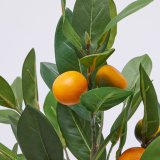 EDG Enzo De Gasperi pianta di Mandarino Artificiale con Vaso H76 cm