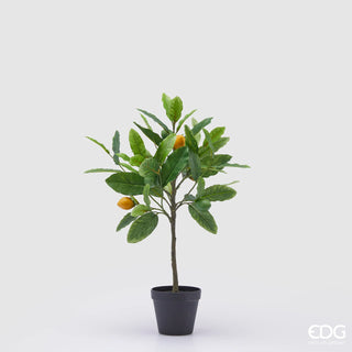 EDG Enzo De Gasperi Planta de limón artificial con jarrón Al. 56 cm