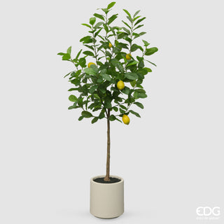EDG Enzo De Gasperi Vogue Künstliche Zitronenpflanze mit 160 cm Vase