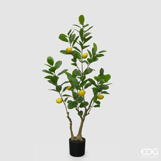 EDG Enzo De Gasperi Vogue Künstliche Zitronenpflanze mit Vase, H 126 cm