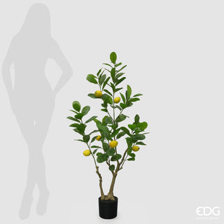 EDG Enzo De Gasperi Vogue Künstliche Zitronenpflanze mit Vase, H 126 cm