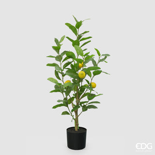 EDG Enzo De Gasperi Künstliche Zitrone Vogue Pflanze mit Vase H 97 cm