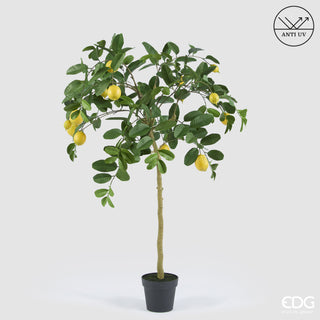 EDG Enzo De Gasperi Pianta Artificiale Limone Anti-UV con Vaso H148 cm
