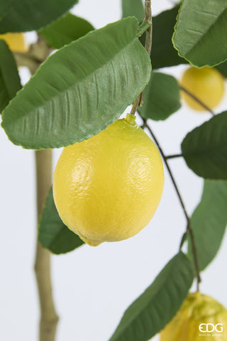 EDG Enzo De Gasperi Vogue Künstliche Zitronenpflanze mit Vase, H 126 cm