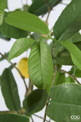 EDG Enzo De Gasperi Vogue Künstliche Zitronenpflanze mit Vase, H 126 cm