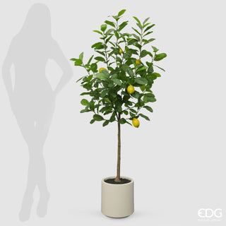 EDG Enzo De Gasperi Vogue Künstliche Zitronenpflanze mit 160 cm Vase