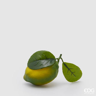 EDG Enzo De Gasperi Lemon Duke with Leaves D10 cm