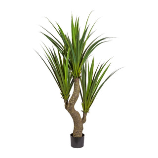 Andrea Bizzotto Banana Plant with Pot 20 leaves H200 cm
