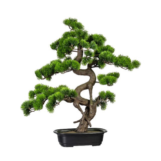 Gasper Bonsai Artificiale 65x50 cm con Vaso