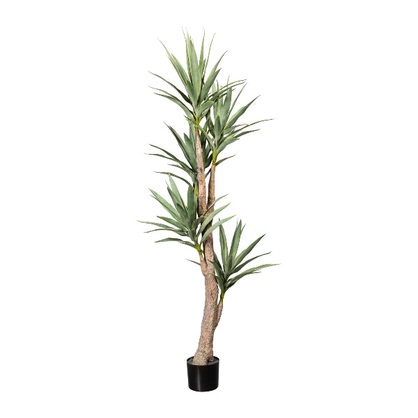 Gasper Pianta Artificiale Dracena Imperial 5 Rami con Vaso H180 cm