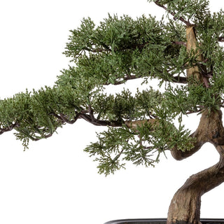 Gasper Bonsai Artificiale 40x40 cm con Vaso