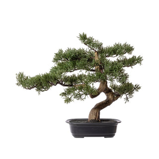 Gasper Bonsai Artificiale 40x40 cm con Vaso