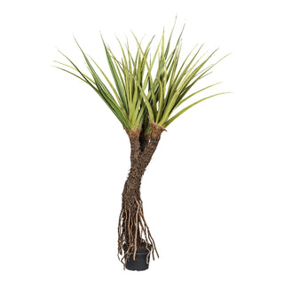 Gasper Artificial Plant of Pandanus Tectorius x3 H210 cm with Pot