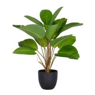Gasper Pianta Artificiale Filodendro H45 cm con Vaso