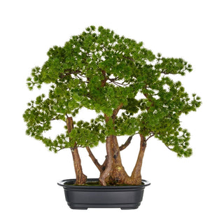 Gasper Bonsari Artificiale Larix 53x50 cm con Vaso