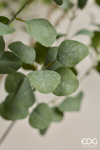 EDG Enzo De Gasperi Pianta Artificiale Eucalipto Vouge con Vaso H244 cm