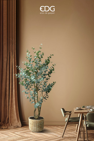 EDG Enzo De Gasperi Pianta Artificiale Eucalipto Vouge con Vaso H210 cm
