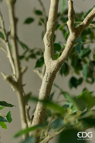 EDG Enzo De Gasperi Pianta Artificiale Ficus Beniamino Vogue con Vaso H240 cm