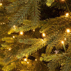 Andrea Bizzotto Berkshire Pine Christmas Tree 9896 Branches 3100 LEDs H270 cm