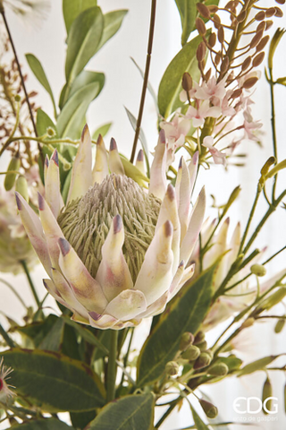 EDG Enzo De Gasperi Protea Composizione con Foglie H110 cm