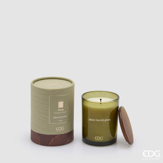 EDG Enzo De Gasperi Candela Opal in Vetro H10 cm Mint Eucalyptus
