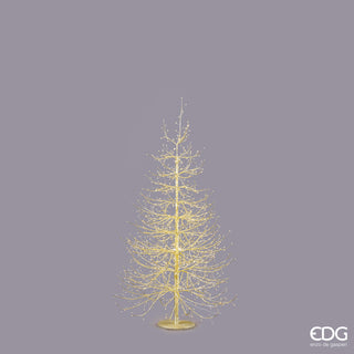 EDG Enzo De Gasperi Rich Beech LED Tree 1440 microled H150 Gold