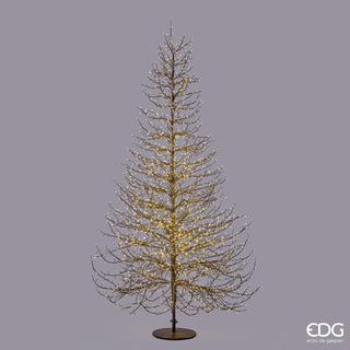 EDG Enzo De Gasperi Rich Beech LED Tree 4060 microled H240 Schwarz
