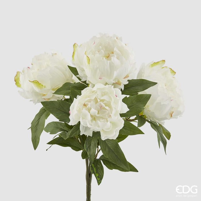EDG Enzo De Gasperi Bouquet 5 Peonie Bianco 48 cm