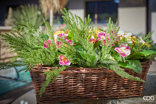 EDG Enzo De Gasperi Ramo di Criptomeria H71 cm